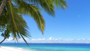 未知の国フィリピン、49歳で大決断した海外移住